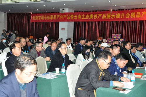 花米飯香傳千年，百越光影映新篇——云南百越文化為影視創(chuàng)作論壇奠基造勢